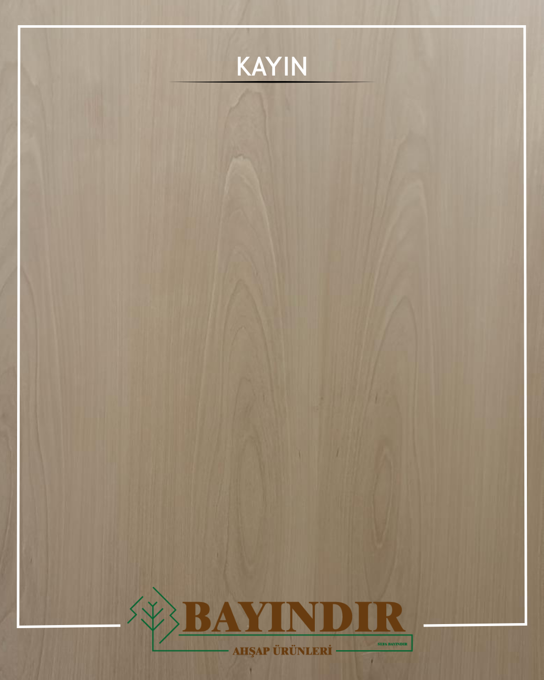 Kayın - Samsun MDF satışı
