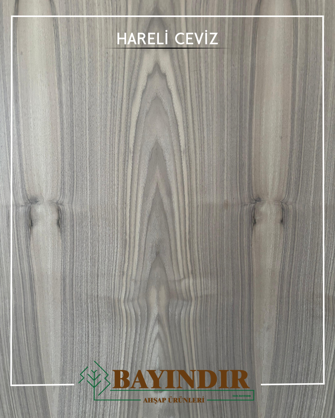 Hareli Ceviz - Samsun MDF satışı